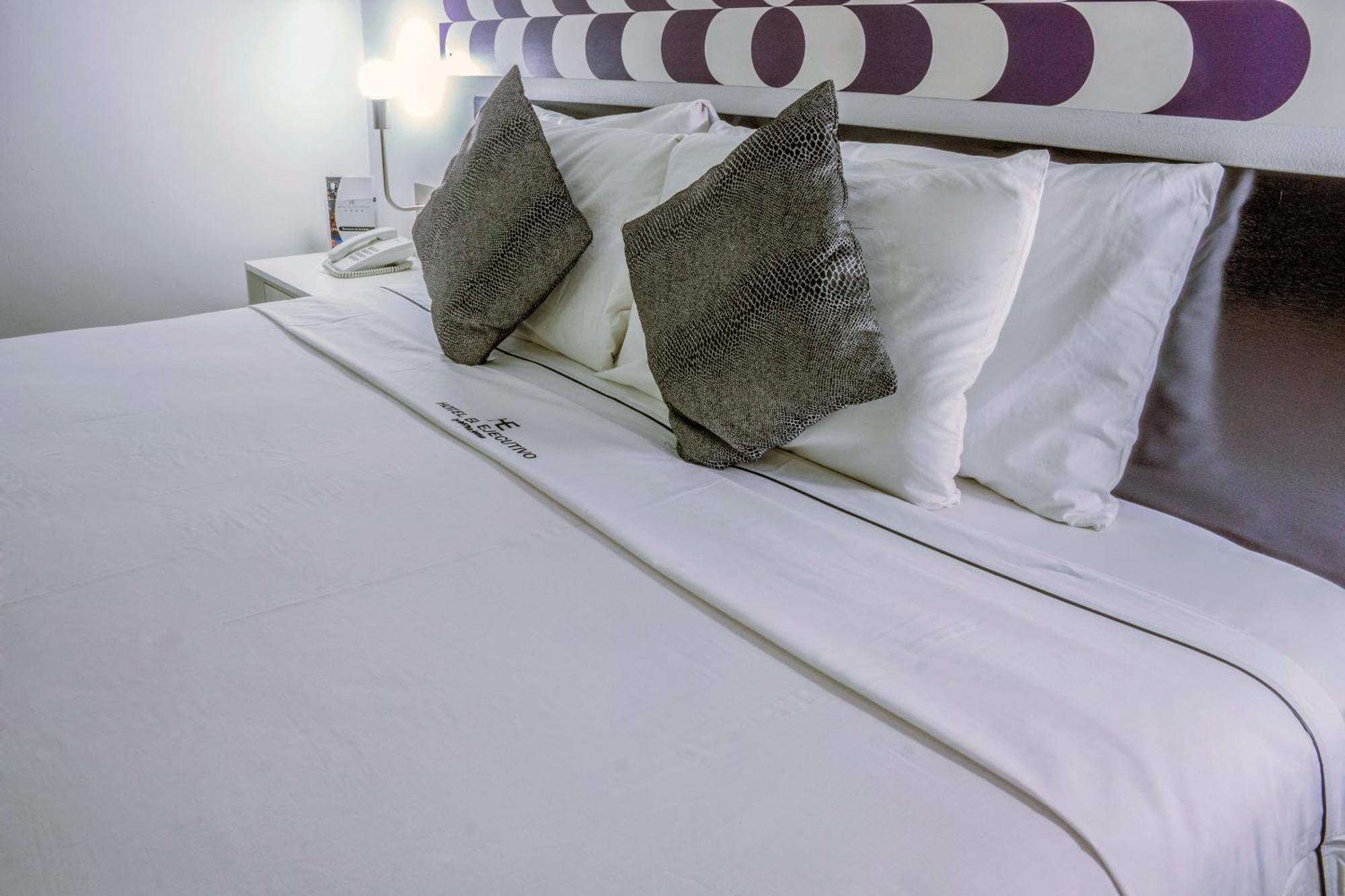 Hotel El Ejecutivo By Reforma Avenue Mexico By Værelse billede